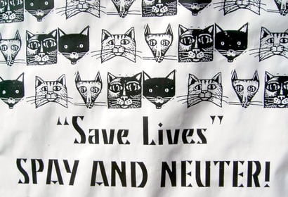 Spay and Neuter saves lives