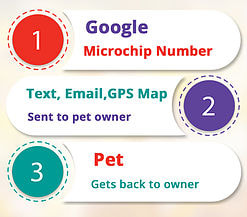 Microchipping your pet gets them back to you faster
